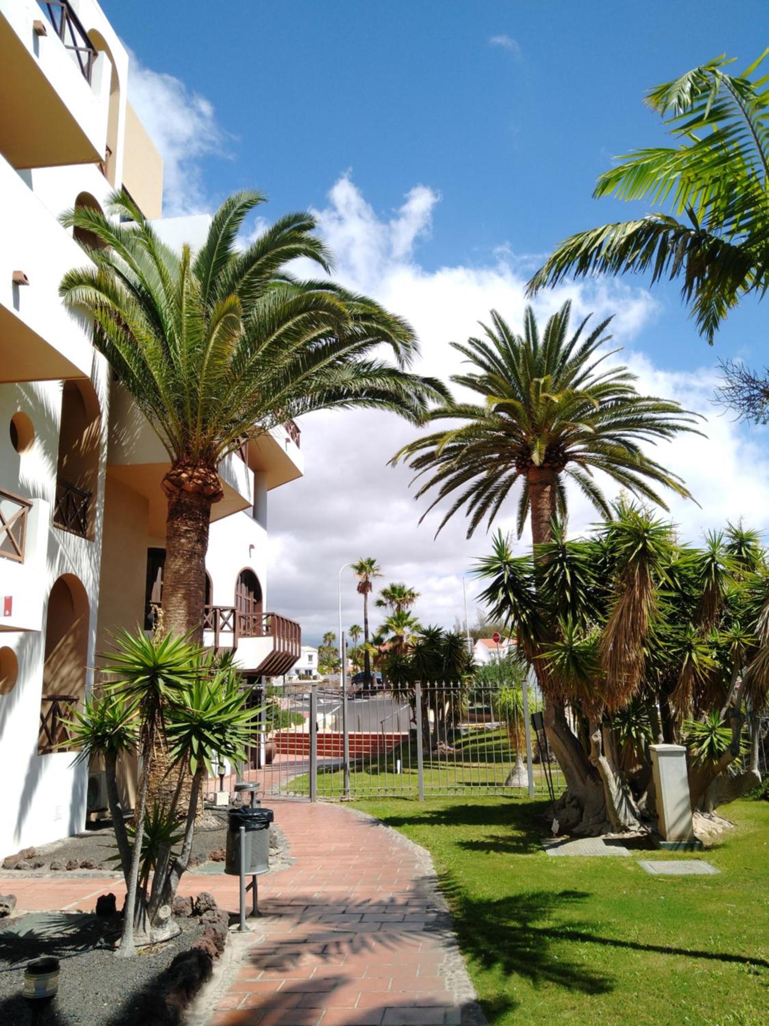 סן מיגל דה אבונה Forest Flat - Big Heated Pool, Terrace, Tv Channels, Golf Courses מראה חיצוני תמונה